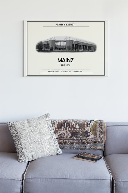 Mainz Stadion Leinwand