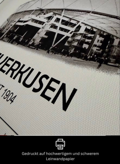 Saarbrücken Stadion Leinwand
