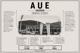 Aue Stadion Leinwand