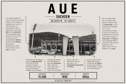 Aue Stadion Leinwand