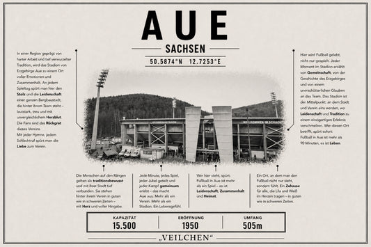 Aue Stadion Leinwand