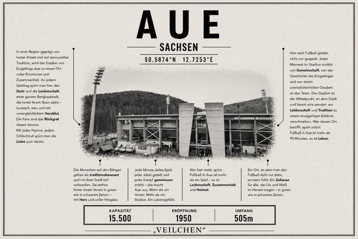 Aue Stadion Leinwand