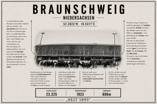 Braunschweig Stadion Leinwand