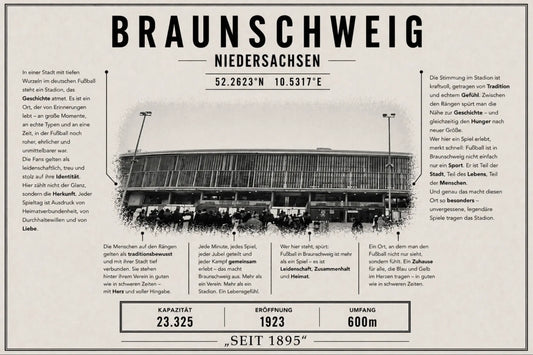 Braunschweig Stadion Leinwand