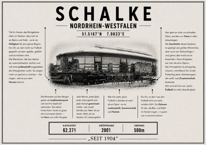 Schalke Stadion Leinwand