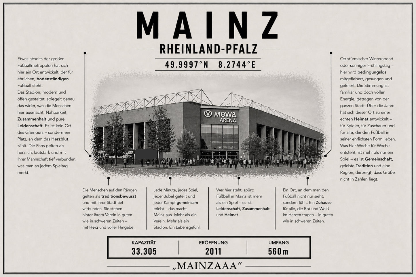 Mainz Stadion Leinwand