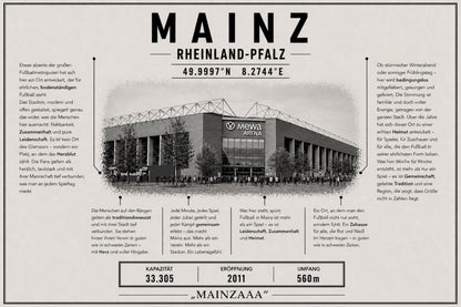 Mainz Stadion Leinwand
