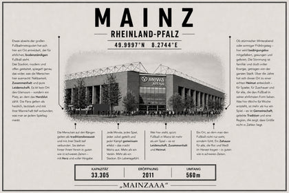 Mainz Stadion Leinwand