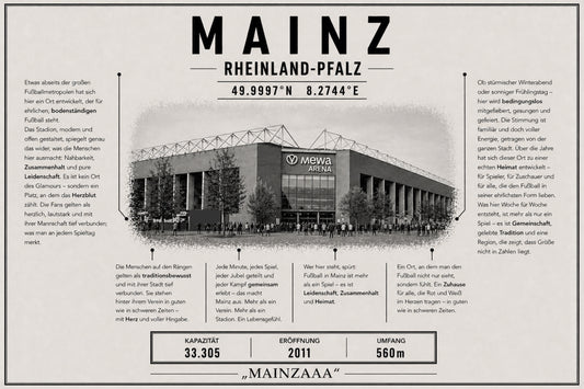 Mainz Stadion Leinwand