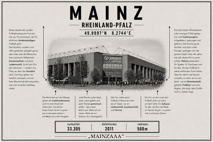 Mainz Stadion Leinwand