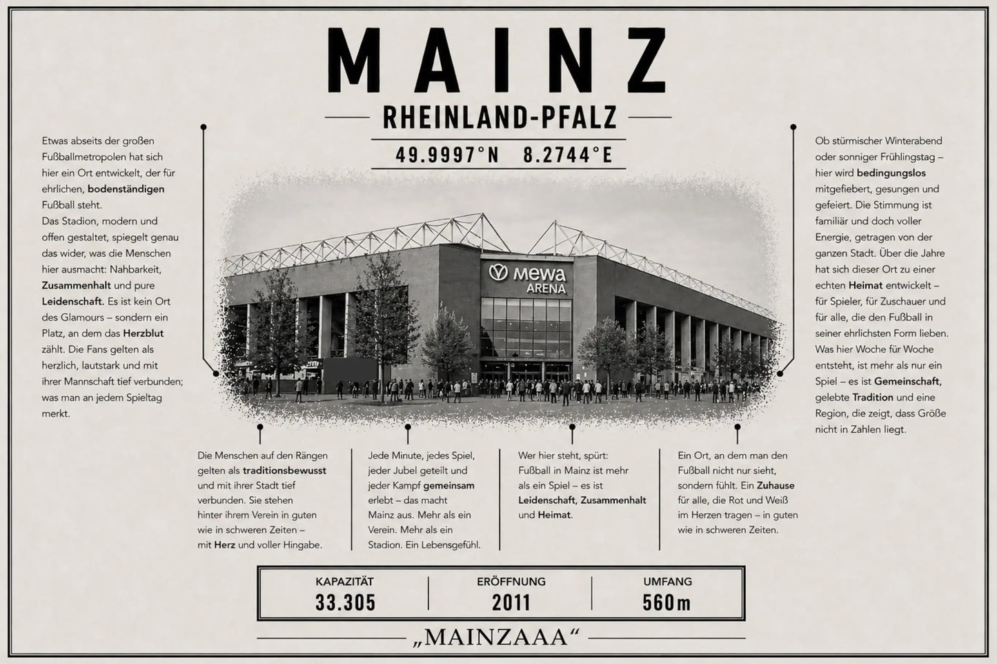 Mainz Stadion Leinwand