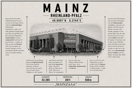 Mainz Stadion Leinwand