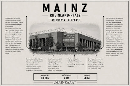 Mainz Stadion Leinwand