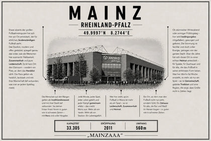 Mainz Stadion Leinwand