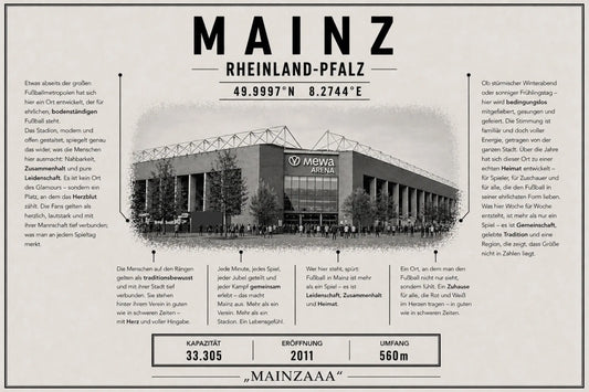 Mainz Stadion Leinwand