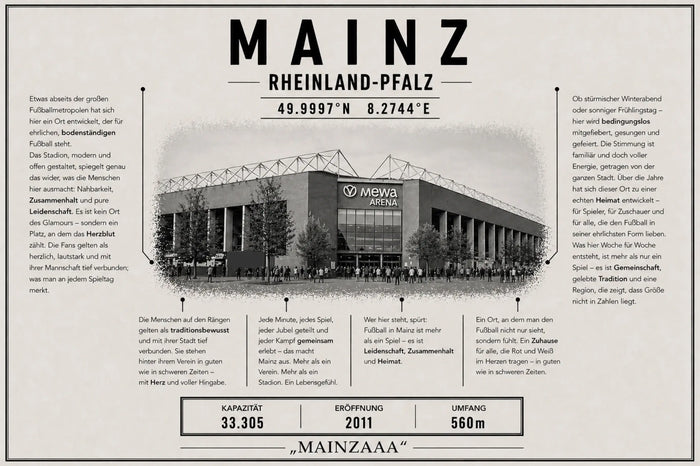Mainz Stadion Leinwand