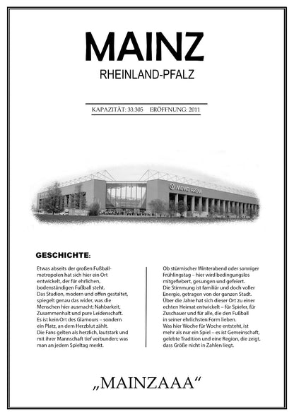Mainz Stadion Leinwand