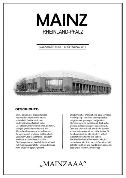 Mainz Stadion Leinwand