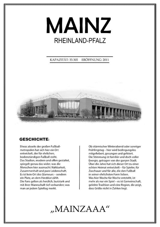 Mainz Stadion Leinwand